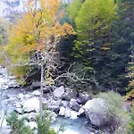 Magoria