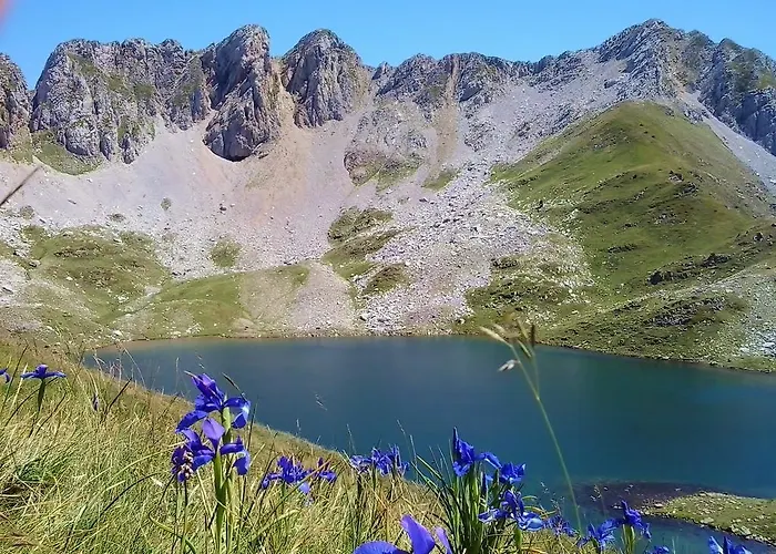 Lantställe Magoria *